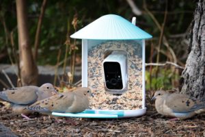 Birdfy Feeder 