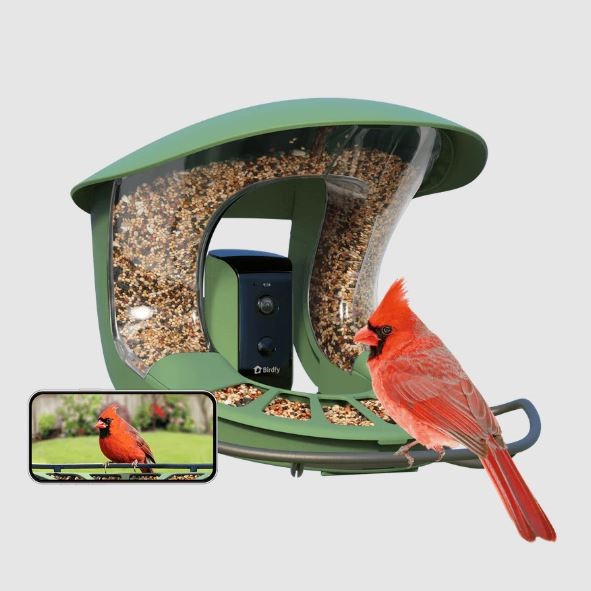 recyclable bird feeder camera 