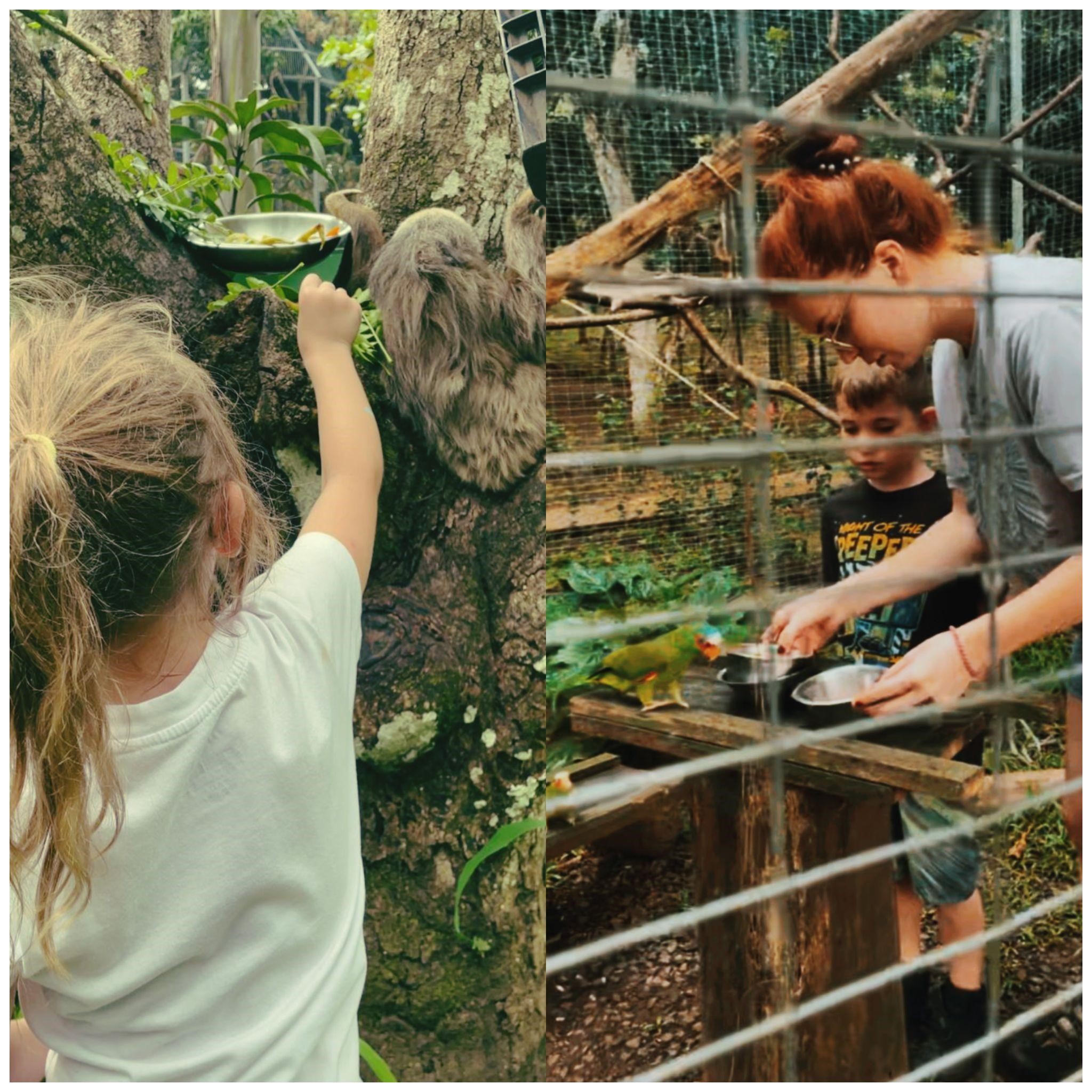 Volunteering in Costa Rica